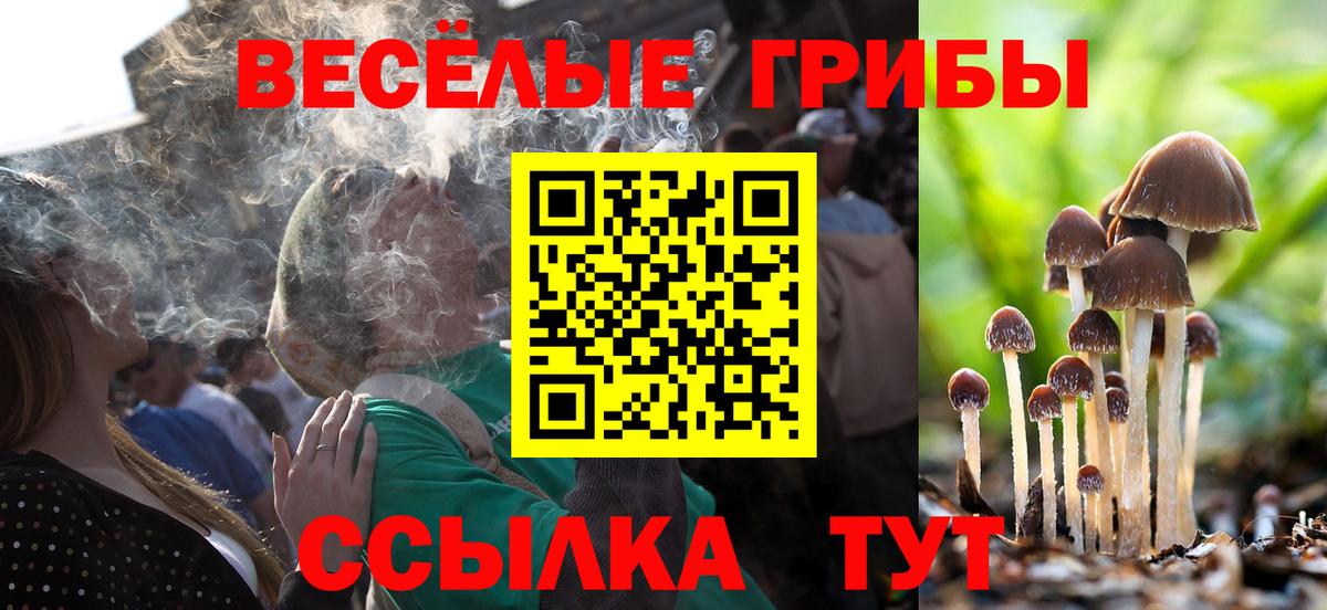 Галлюциногенные грибы прущие грибы Артёмовский