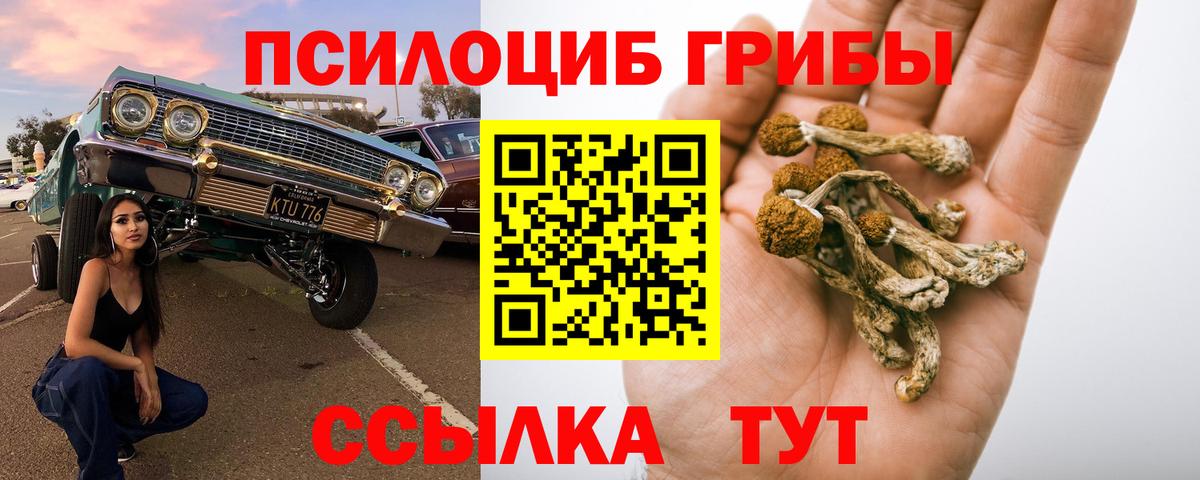 Артёмовский  где купить   Вход с VPN  Галлюциногенные грибы Cubensis 